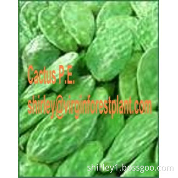 Cactus Extract